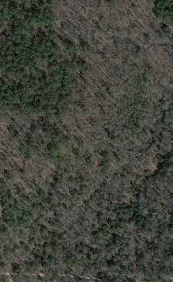 1655091233380.webp