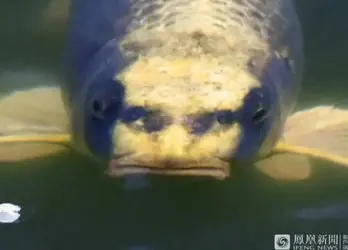 1693844355433.webp