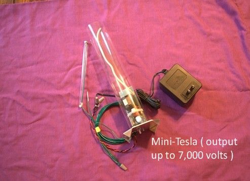 MiniTesla.jpg