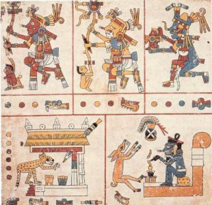 codices.JPG