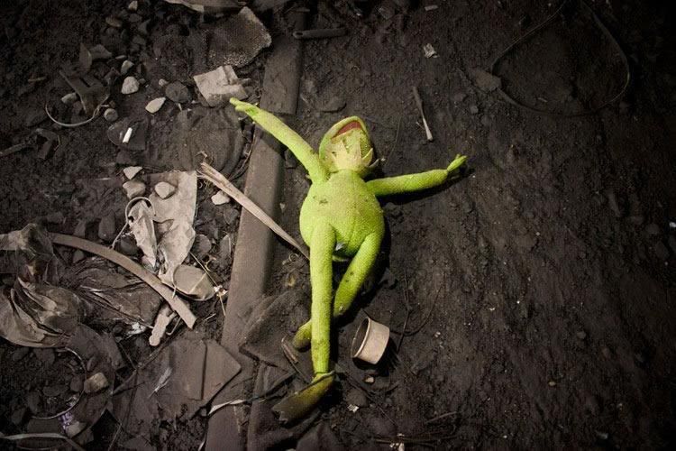 DeadKermit.jpg