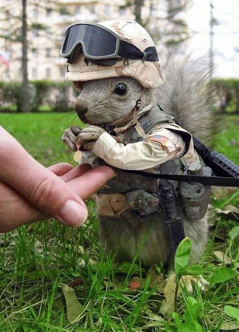 soldier.jpg